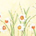 Duni Zelltuchservietten Daffodil Joy 40 x 40 cm 3-lagig 1/4 Falz 250 Stck