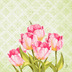 Duni Zelltuchservietten Love Tulips 40 x 40 cm 250 Stck