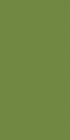 Duni Bio-Dunisoft-Servietten leaf green 40 x 40 cm 1/8 Buchfalz 60 Stck -