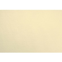 Duni Evolin-Tischsets cream 30 x 43,5 cm 70 Stück