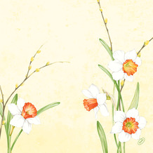 Duni Dunisoft-Servietten Daffodil Joy 40 x 40 cm 1/ 4 Falz 60 Stück