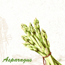 Duni Dunisoft-Servietten Green Asparagus 40 x 40 cm 1/ 4 Falz 60 Stück