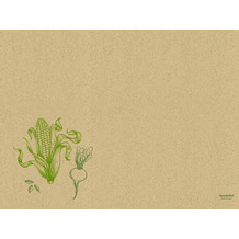 Duni Graspapier Tischset Veggies 30 x 40 cm 250 Stück