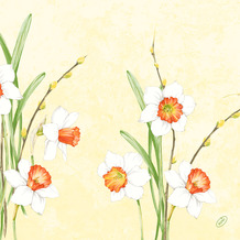 Duni Klassikservietten Daffodil Joy 40 x 40 cm 4-lagig, geprägt 1/ 4 Falz 50 Stück