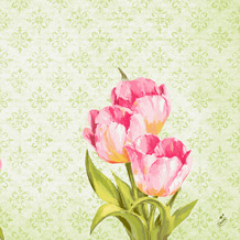 Duni Klassikservietten Love Tulips 40 x 40 cm 50 Stück