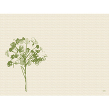 Duni Tischsets Bio-Dunicel 30 x 40 cm, Motiv Green Umbles 100 Stück