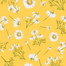 Duni Tissue Servietten Pretty Daisy Yellow 33 x 33 cm 20 Stück