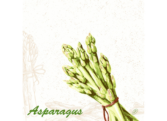 Duni Dunisoft-Servietten Green Asparagus 40 x 40 cm 1/4 Falz 60 Stück
