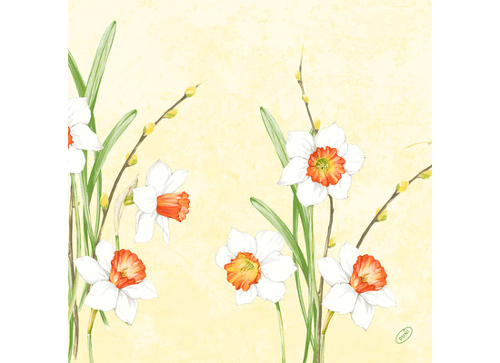Duni Klassikservietten Daffodil Joy 40 x 40 cm 4-lagig, geprägt 1/4 Falz 50 Stück