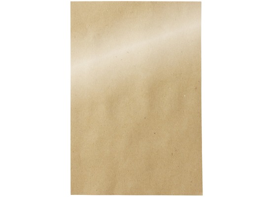 Duni Papier-Tischsets 30 x 45 cm Neutral, 250 Stück